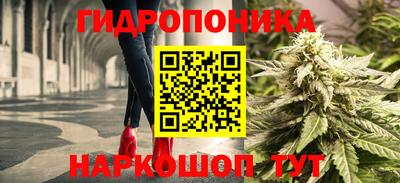 шишки Донецк